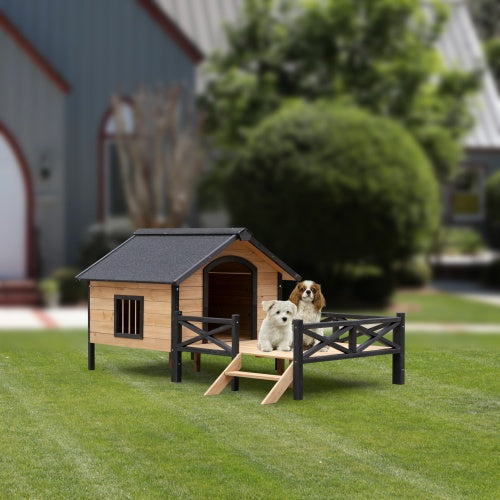 Dog Mansion
